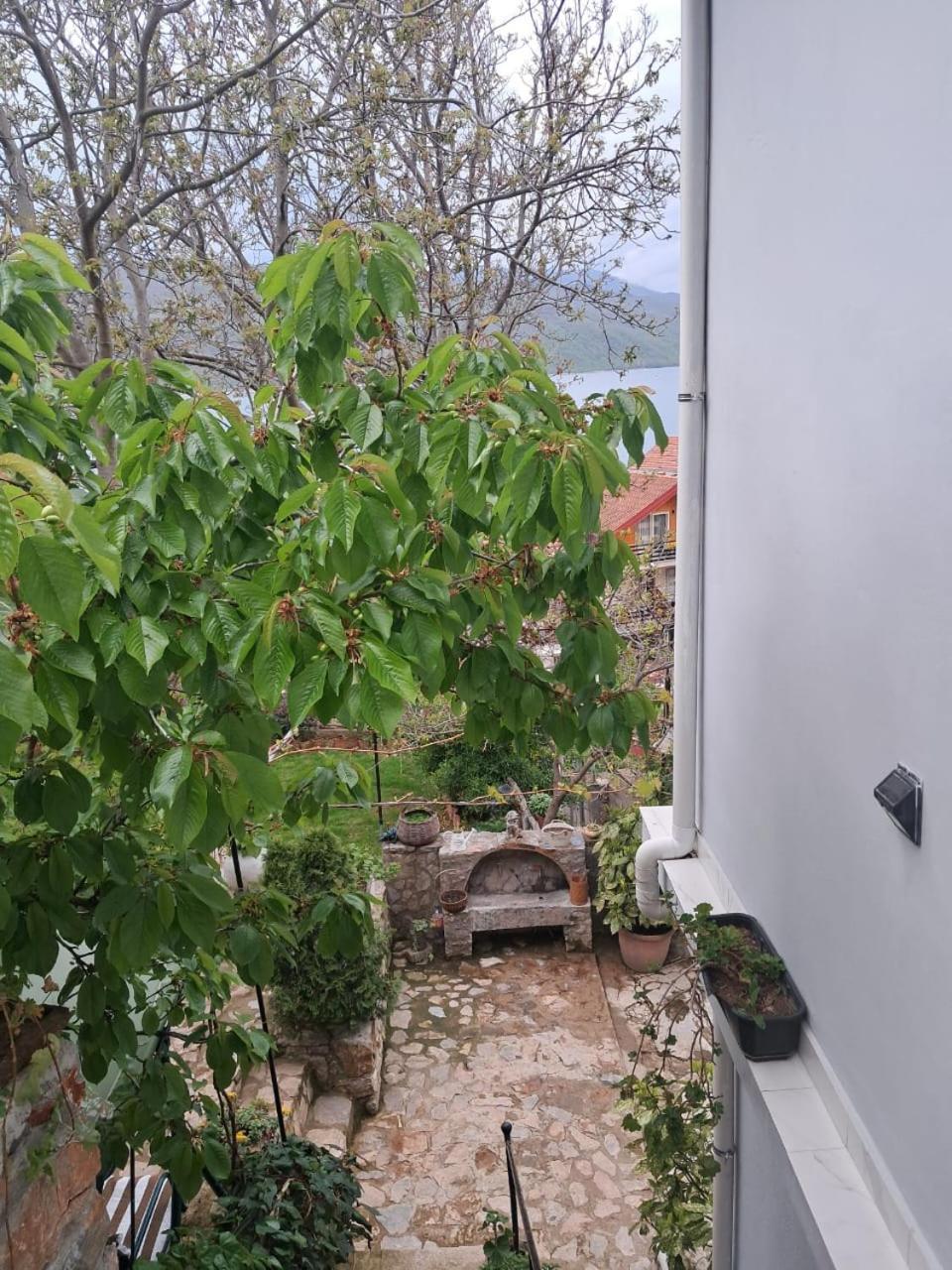 Roleo Guest House Lin Exterior photo
